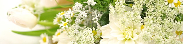 2012年プレ・写真ワークショップ