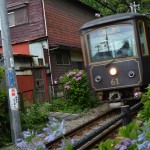 2013年「古都鎌倉 日帰り撮影会」