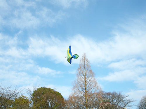 2011年1月「凧をつくろう！」