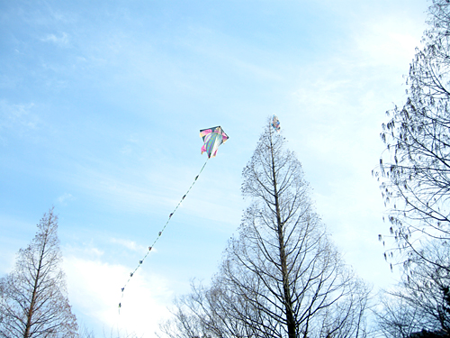 2011年1月「凧をつくろう！」